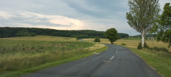 Road in the green fields