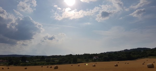 Golden fields with straw bales in the hot sun