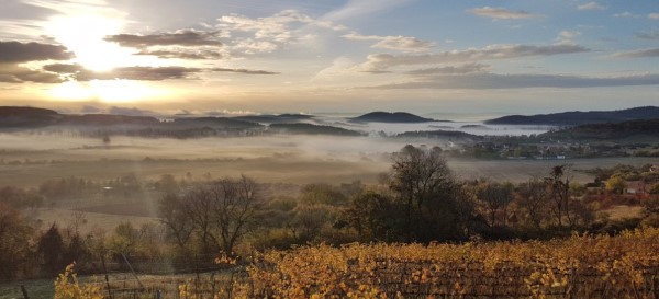 Sunset with fog in the valley of Pécsely