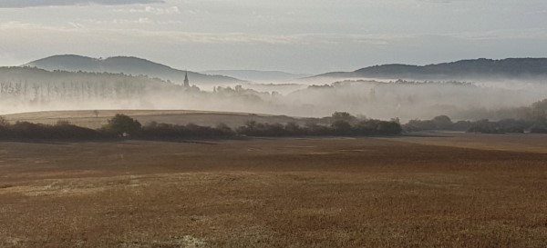 Church tower stickinig out of the fog