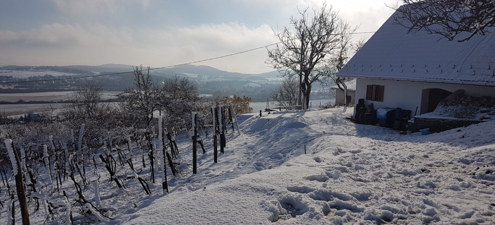 Presshouse with panorama in the winter