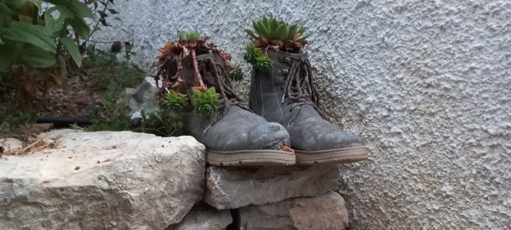 Old, worn out shoes as decoration